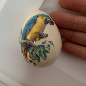 ceramic hand painted egg Macaw
